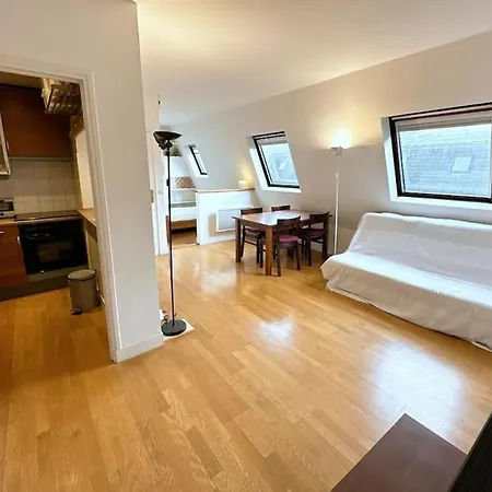 Beau Type Loft Tres Bien Situe * باريس